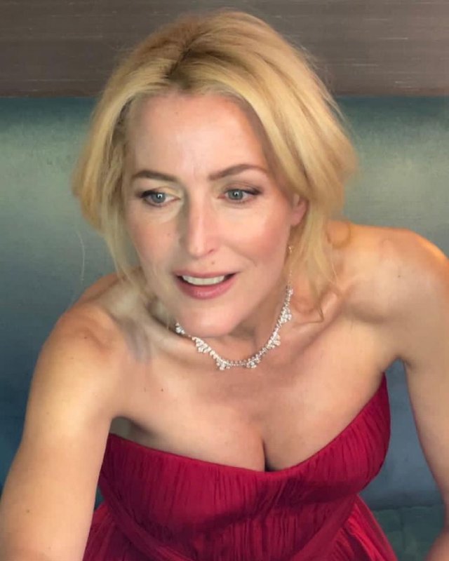 Как сейчас выглядит актриса Джиллиан Андерсон, звезда сериала «Секретные материалы» Как сейчас выглядит актриса Джиллиан Андерсон, звезда сериала «Секретные материалы»