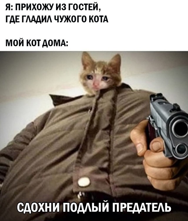 Смешные картинки 8 апреля 2021