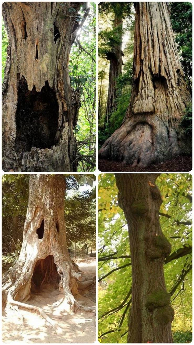 Смешные картинки 8 апреля 2021