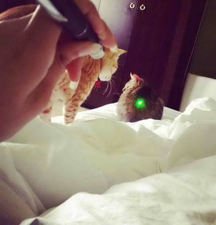 Смешные картинки 8 апреля 2021