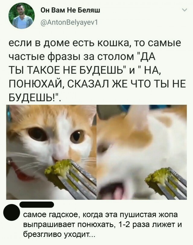 &quot;Поставь болгарскую клавиатуру и охреней!&quot;: улетные комментарии от пользователей Сети