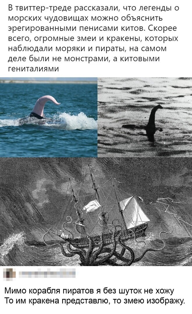 А Кракен просто объяснялся