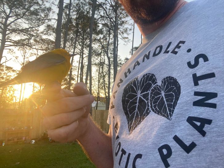 20 встреч с дикими животными и птицами, которые словно списали с диснеевских мультиков