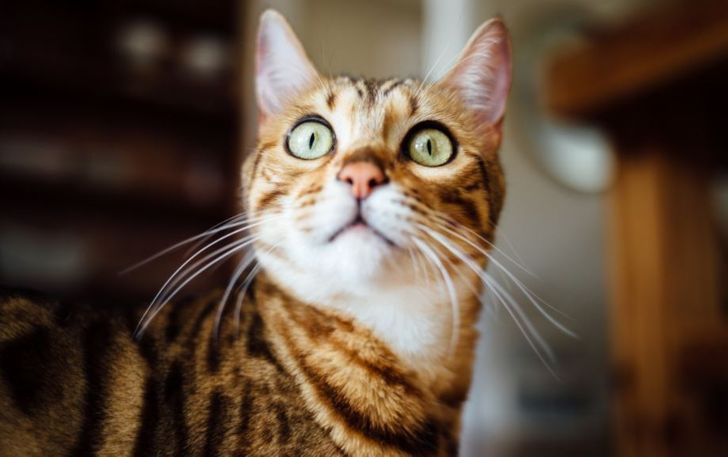 20 примеров того, как детская непосредственность сокрушает взрослую логику