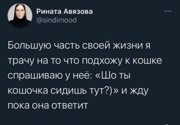 Скрины из соцсетей