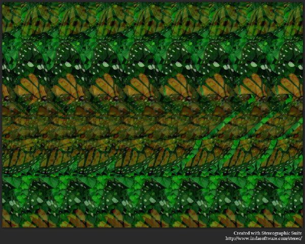 Фото №4 - Стереограмма, на которой 3D-картинку увидят даже те, кто никогда ее не видел