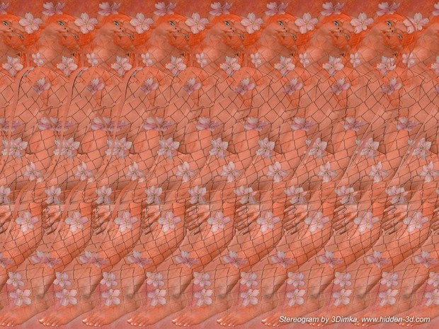 Фото №7 - Стереограмма, на которой 3D-картинку увидят даже те, кто никогда ее не видел