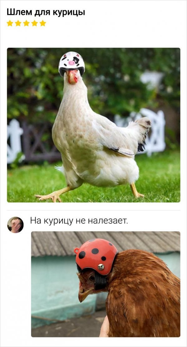 Подборка забавных отзывов в интернет-магазинах Подборка забавных отзывов в интернет-магазинах