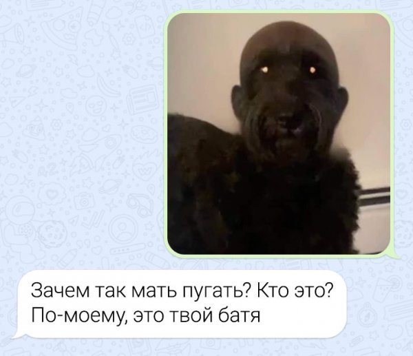 Подборка забавных переписок Подборка забавных переписок