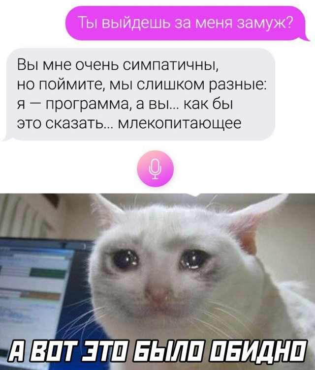 Смешные картинки 26 апреля 2021