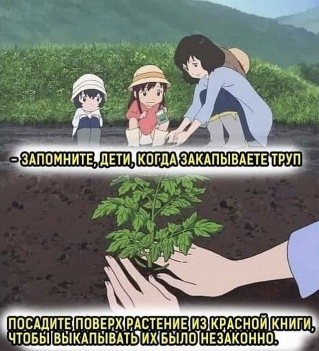 Лучшие шутки и мемы из Сети