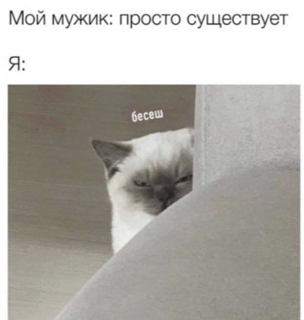 Лучшие шутки и мемы из Сети