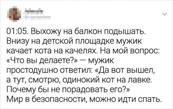 Подборка забавных твитов о котах