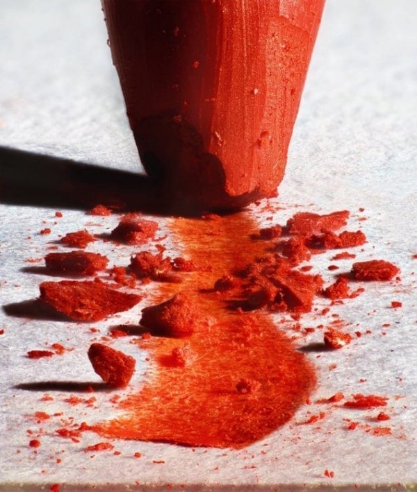 Мир через микроскоп: интересные макрофотографии