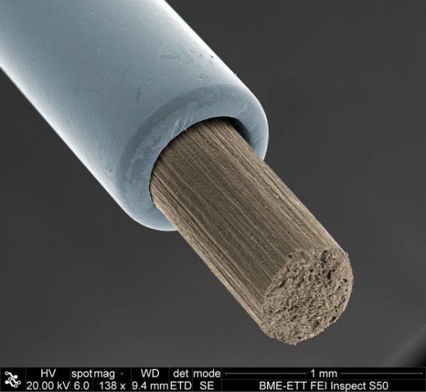 Мир через микроскоп: интересные макрофотографии