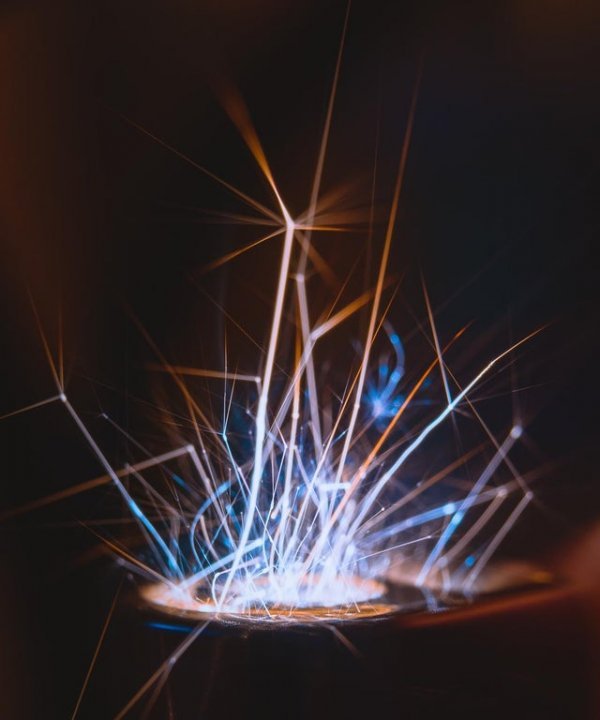 Мир через микроскоп: интересные макрофотографии