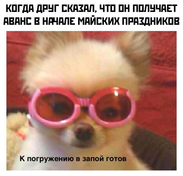 Смешные картинки вечер 29 апреля 2021