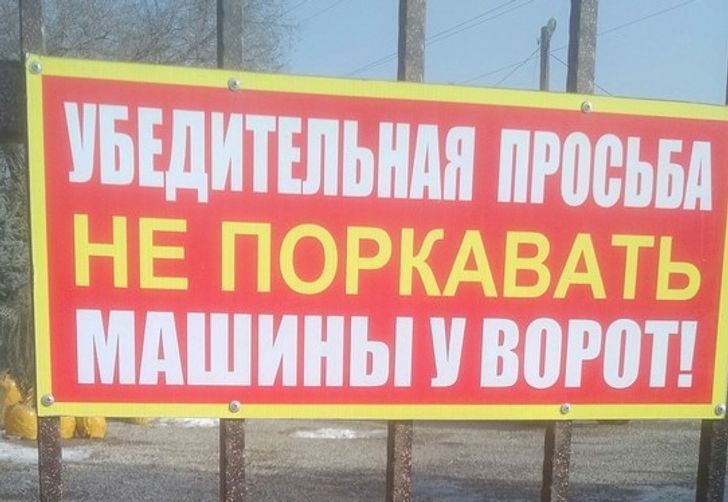 20+ человек, которые не боятся ошибаться и поднимают настроение всему интернету