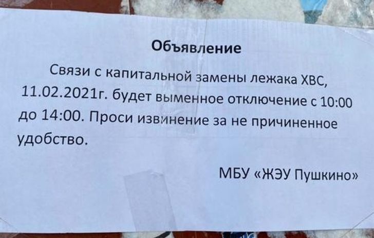 20+ человек, которые не боятся ошибаться и поднимают настроение всему интернету
