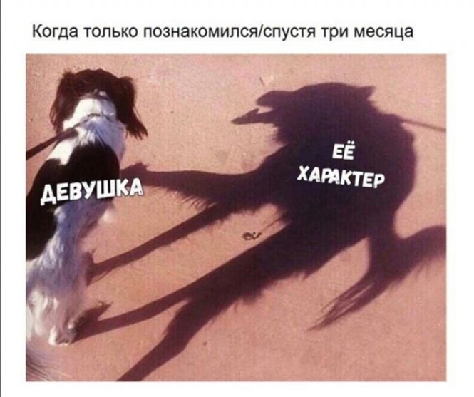 Смешные и познавательные картинки