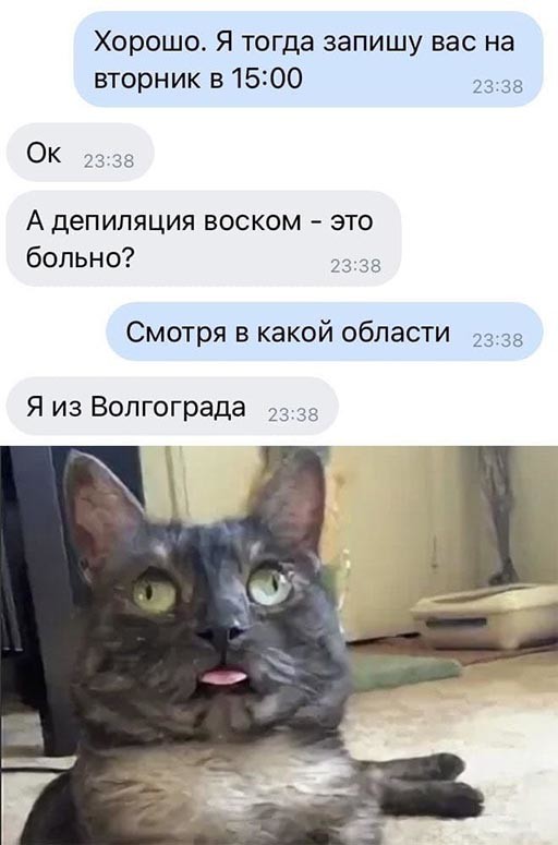 Смешные и познавательные картинки