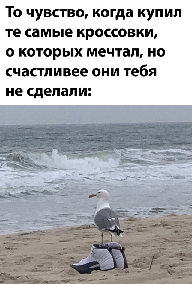 Смешные картинки 3 мая 2021