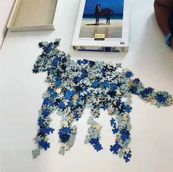 Смешные картинки 3 мая 2021