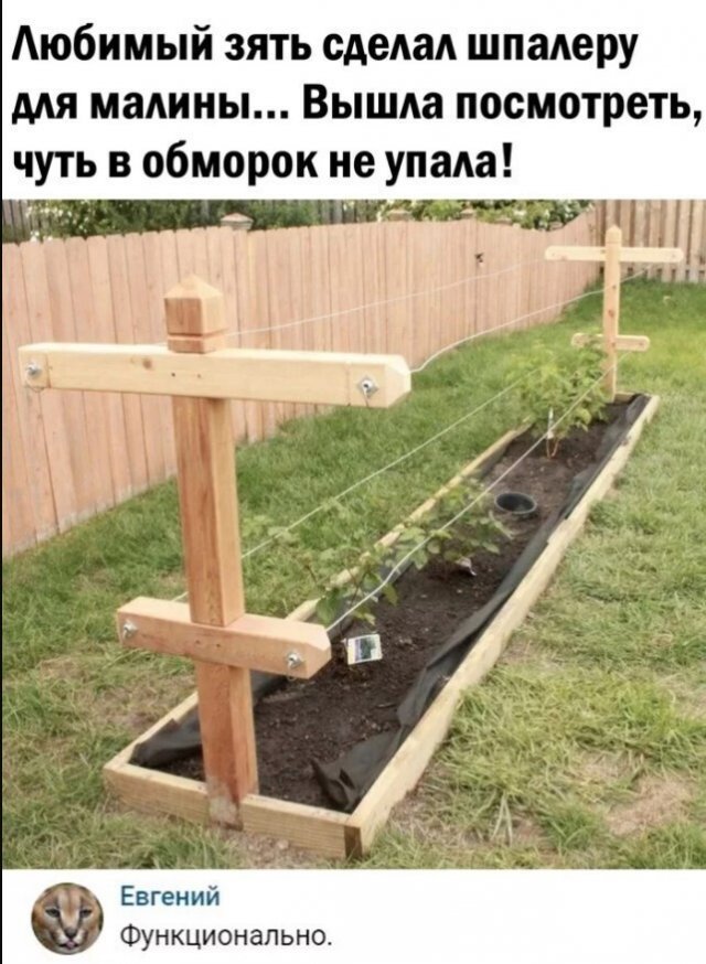 Черный юмор