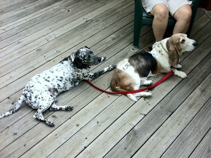 Эти люди - гении бытовой смекалки!