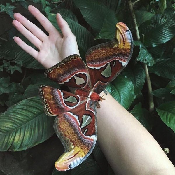 Прикольные и просто красивые картинки