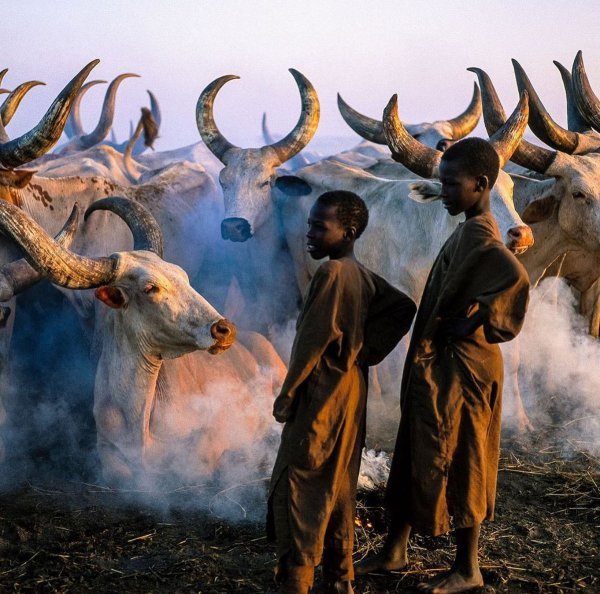 Прикольные и просто красивые картинки