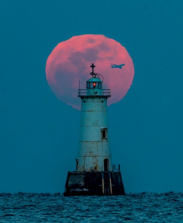 Прикольные и просто красивые картинки