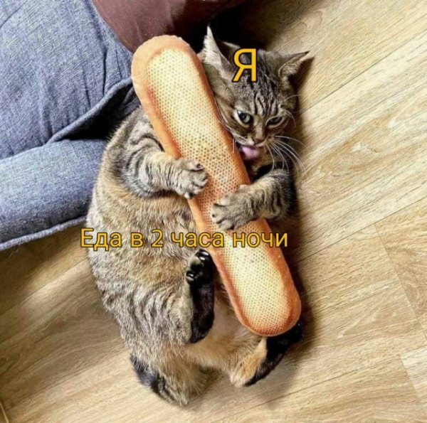 Прикольные и просто красивые картинки