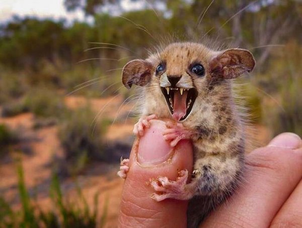 Прикольные и просто красивые картинки