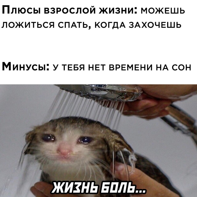 Смешные картинки 10 мая 2021