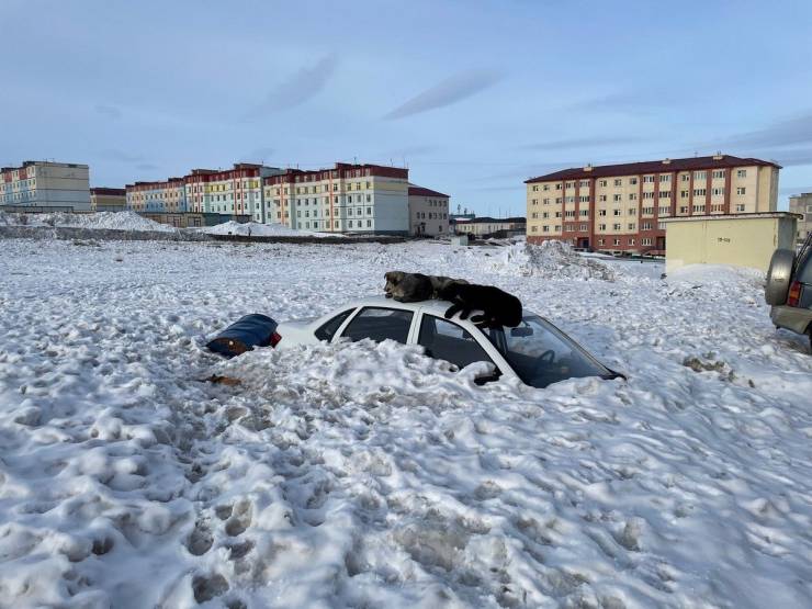 Смешные картинки 10 мая 2021