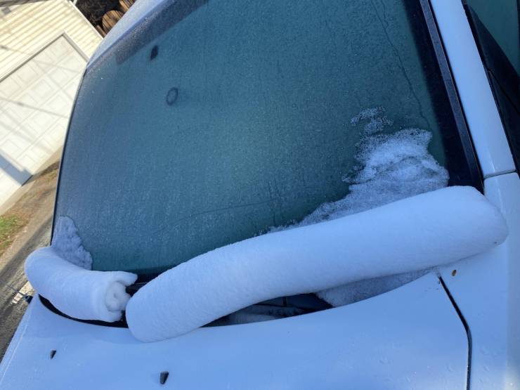 Смешные картинки 11 мая 2021