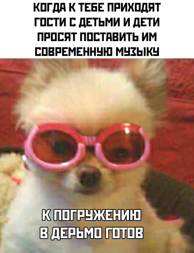 Смешные картинки 11 мая 2021