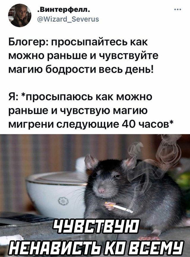 Смешные картинки 12 мая 2021