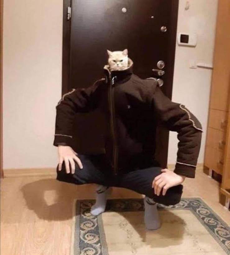 Смешные картинки вечер 13 мая 2021