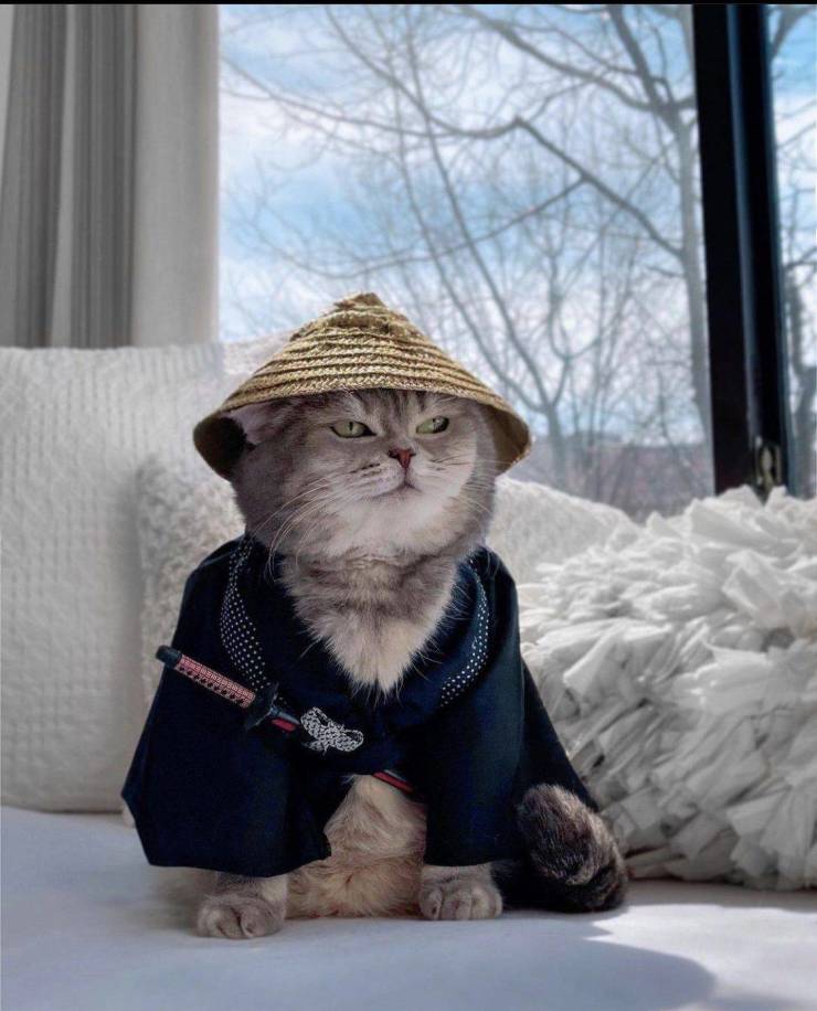 Смешные картинки вечер 14 мая 2021