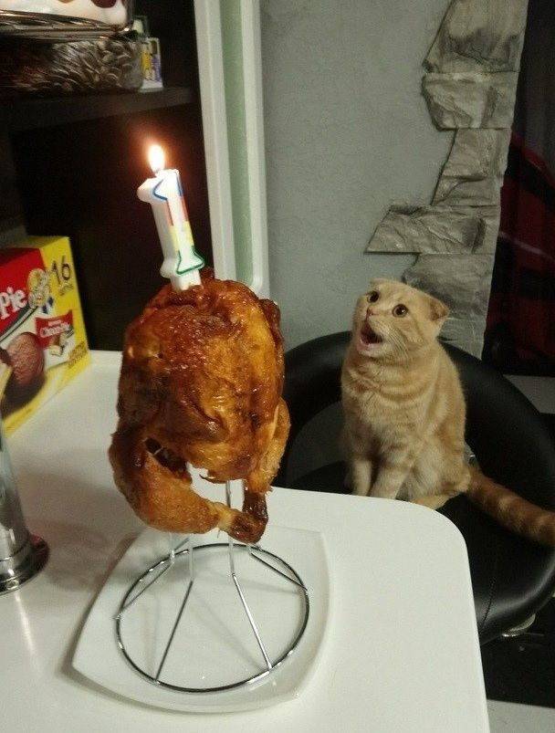 Смешные картинки вечер 14 мая 2021