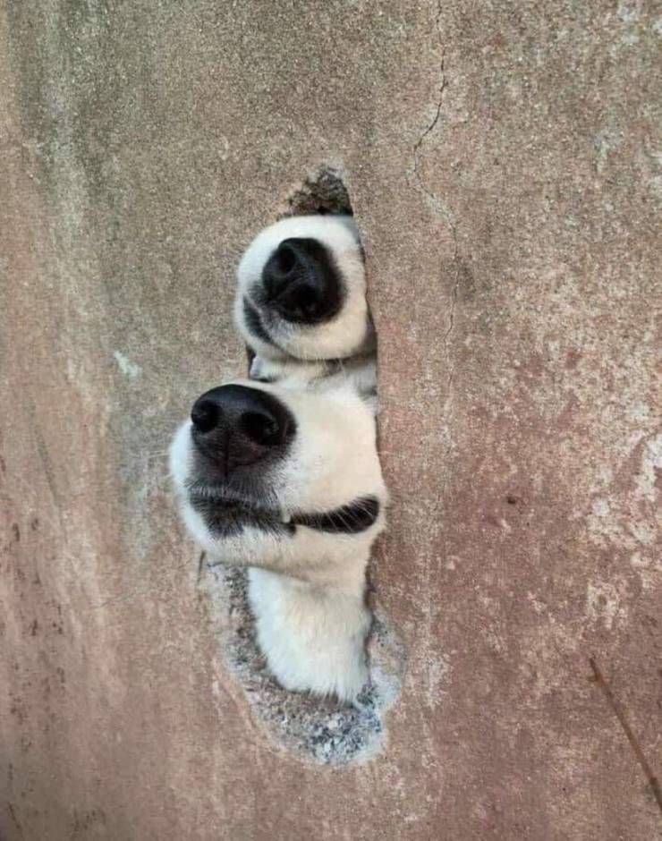 Смешные картинки вечер 14 мая 2021