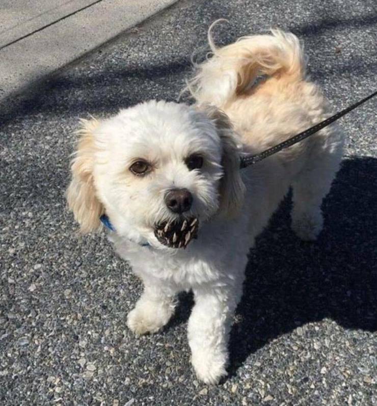 Смешные картинки вечер 14 мая 2021