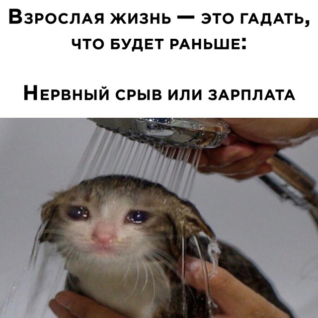 Смешные картинки вечер 14 мая 2021