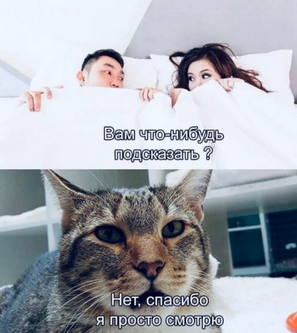 Немного слегка пошлых картинок с надписями