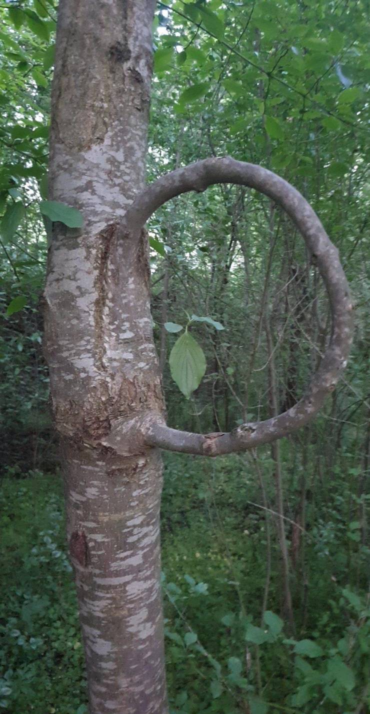 Смешные картинки вечер 17 мая 2021