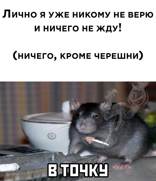 Смешные картинки вечер 19 мая 2021