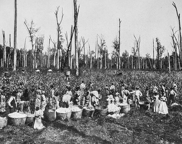 10 ложных представлений о рабстве в США