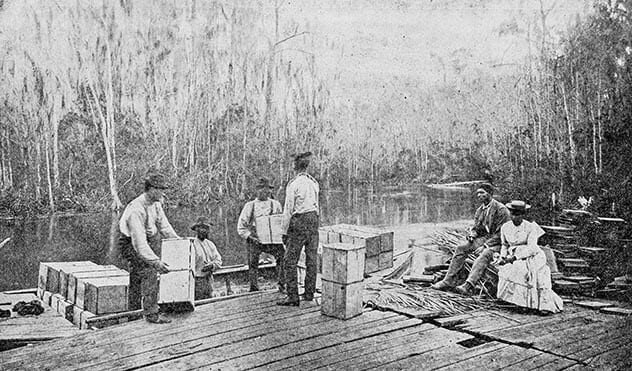 10 ложных представлений о рабстве в США